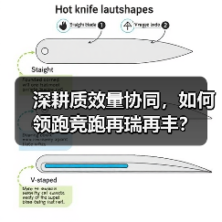 深耕质效量协同,如何领跑竞跑再瑞再丰?(图4) 深耕质效量协同,如何领跑竞跑再瑞再丰?(图4)