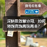 深耕质效量协同,如何领跑竞跑再瑞再丰?(图2) 深耕质效量协同,如何领跑竞跑再瑞再丰?(图2)